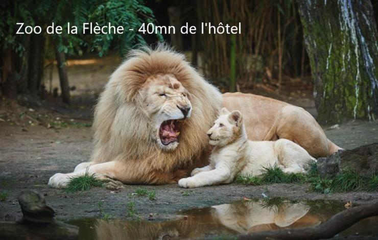 Hotel-Restaurant Ricordeau Loué エクステリア 写真